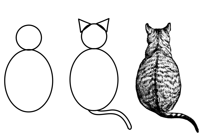 How to draw a cat LOL