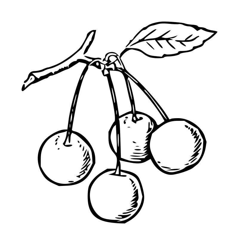 Lutz - Cherries - outline