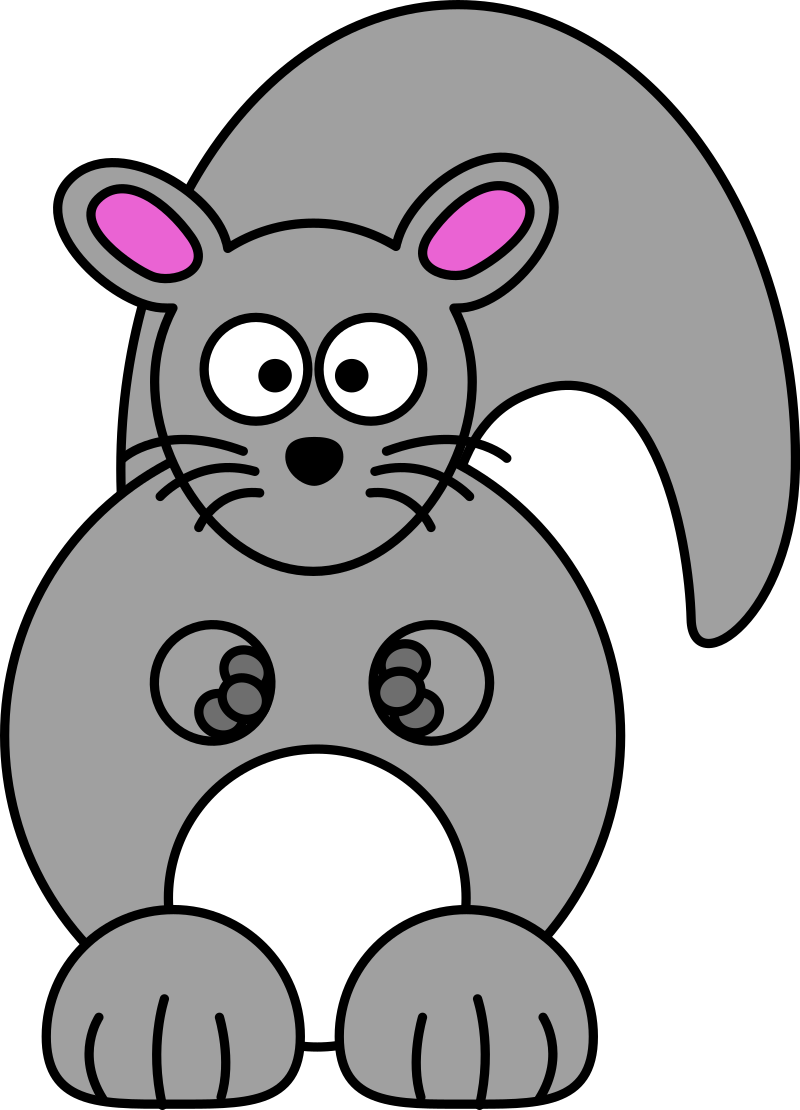 Chinchilla
