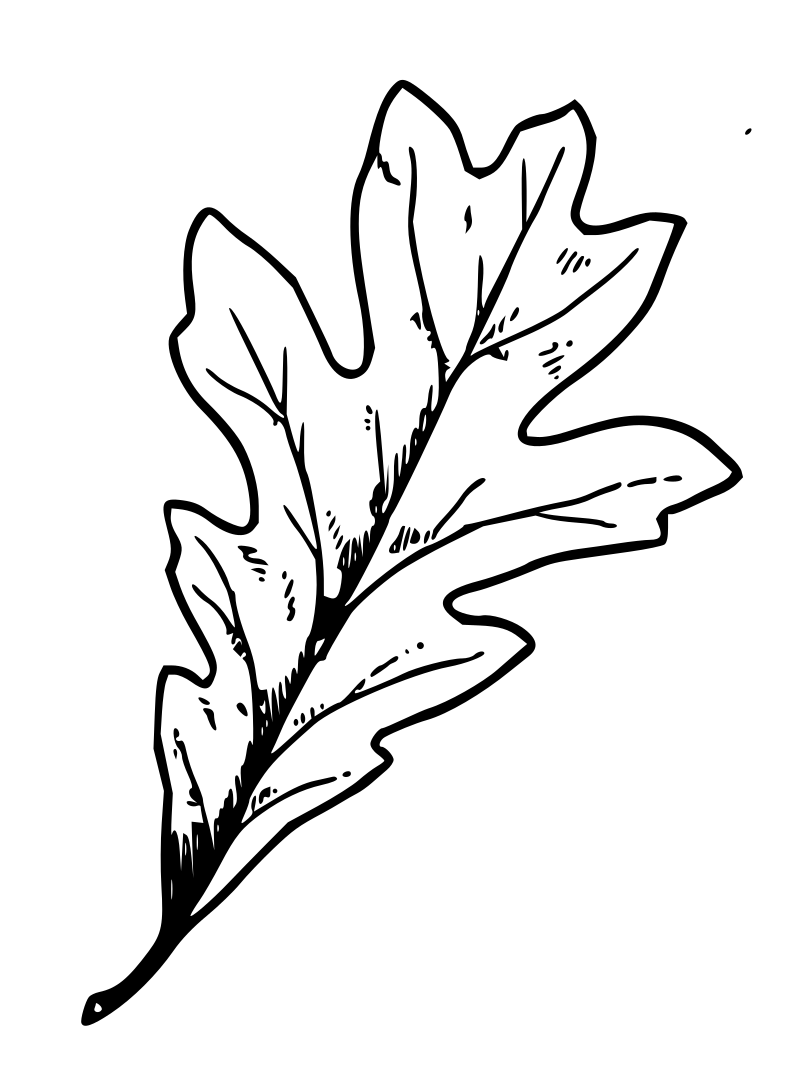 Lutz - Oak leaf - outline