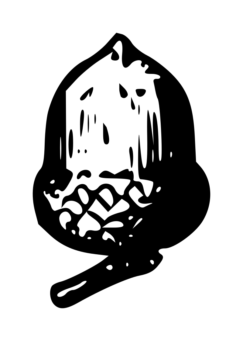 Lutz - Acorn - outline