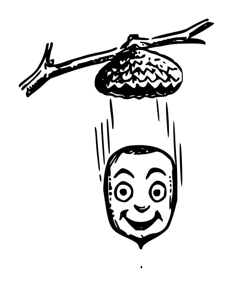 Lutz - Falling Acorn 2