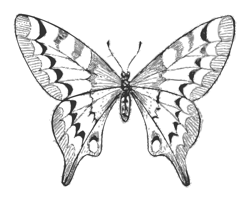 Lutz - Butterfly A - grayscale