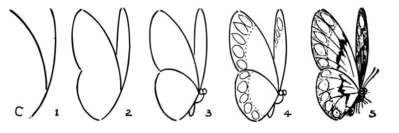 Lutz - Butterfly C - in 5 steps