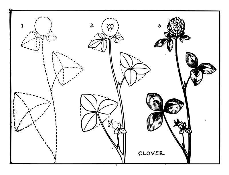 Lutz - Clover - in 3 steps