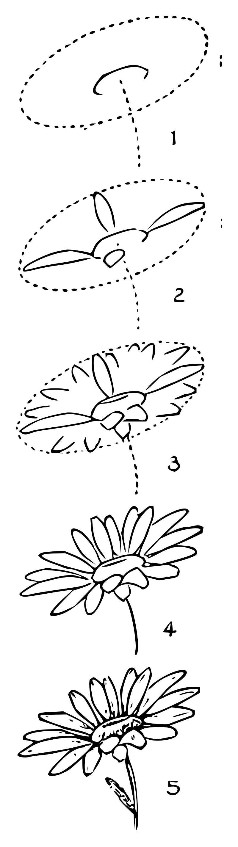 Lutz - Daisy 2 - in 5 steps