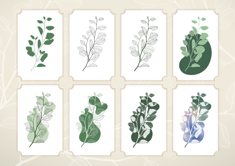 Eucalyptus branch declinations