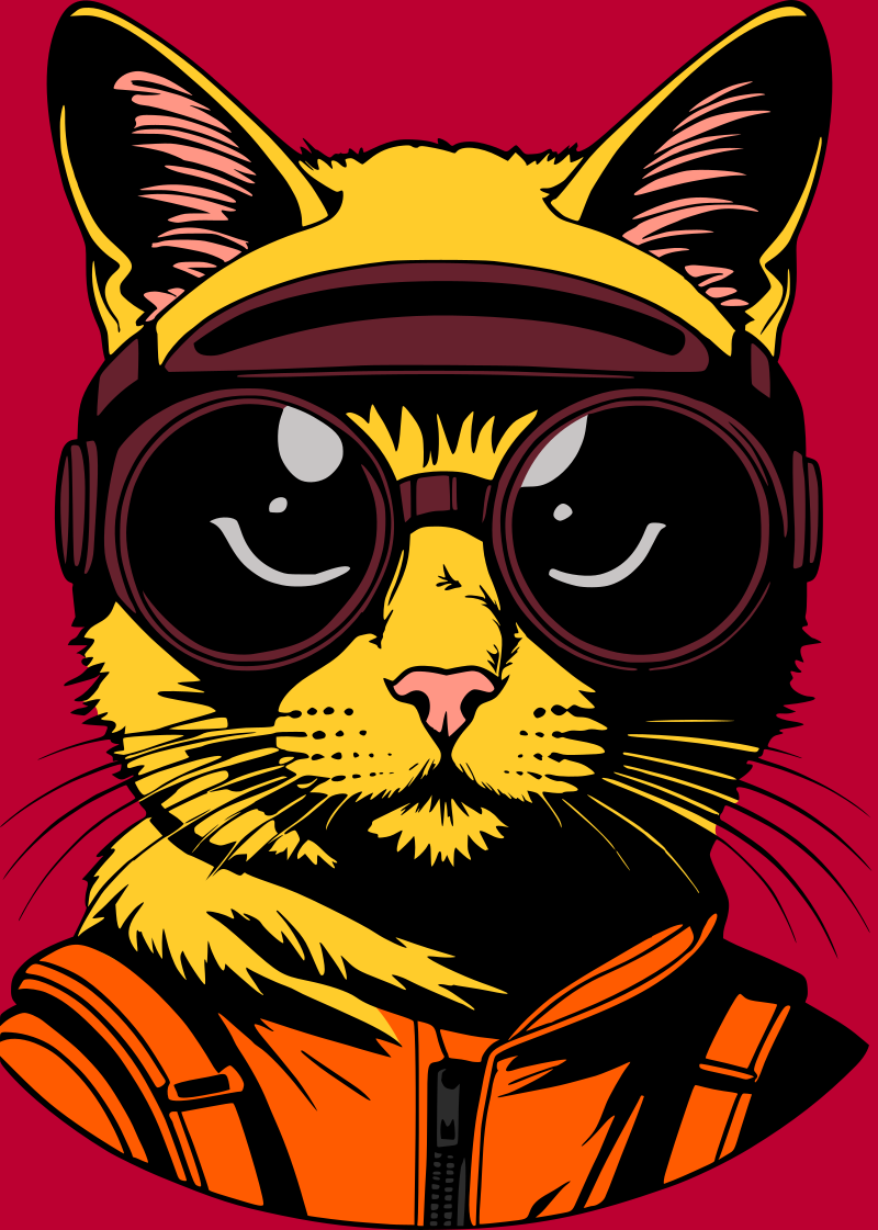 Cat in goggles remix