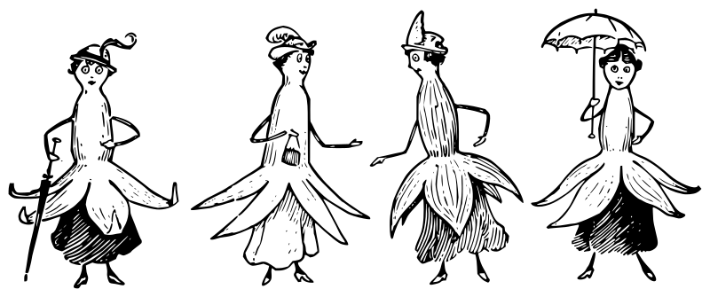 Lutz - Lady Fuchsias