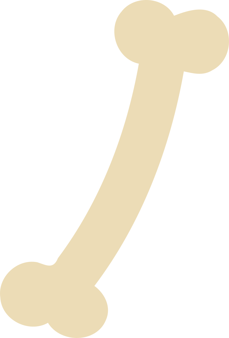 Bone Icon