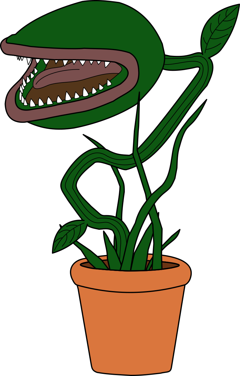 Carnivorous Plant