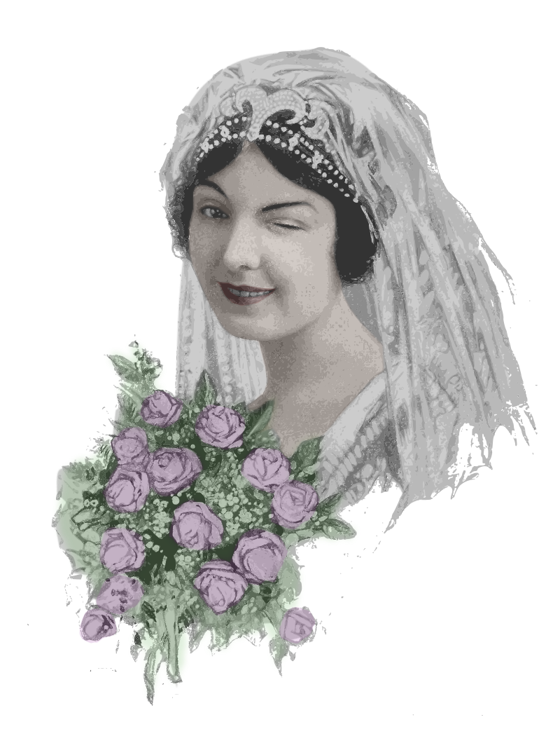 Winking Bride - Basic Colour Remix