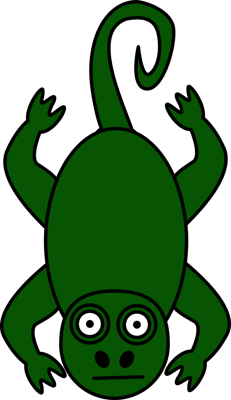 Camouflaged Chameleon