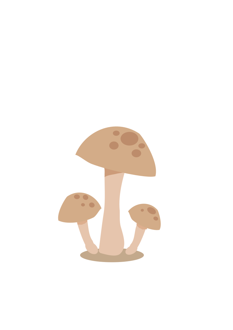 Mushrooms