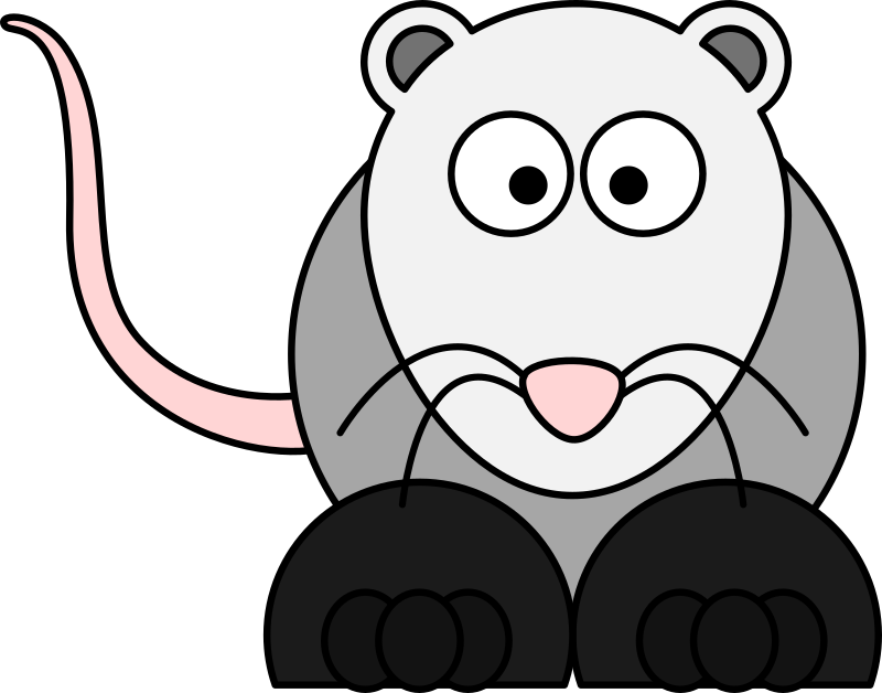 Opossum