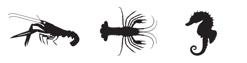 Crustacé / Shellfish or crustacean