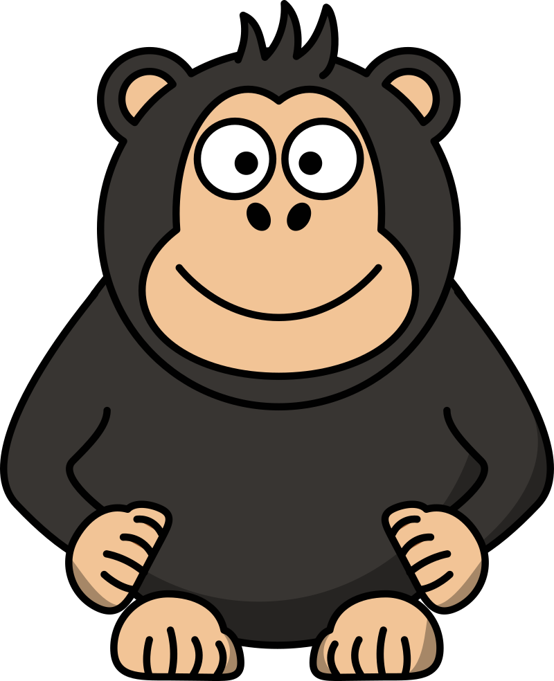 chimpanzee