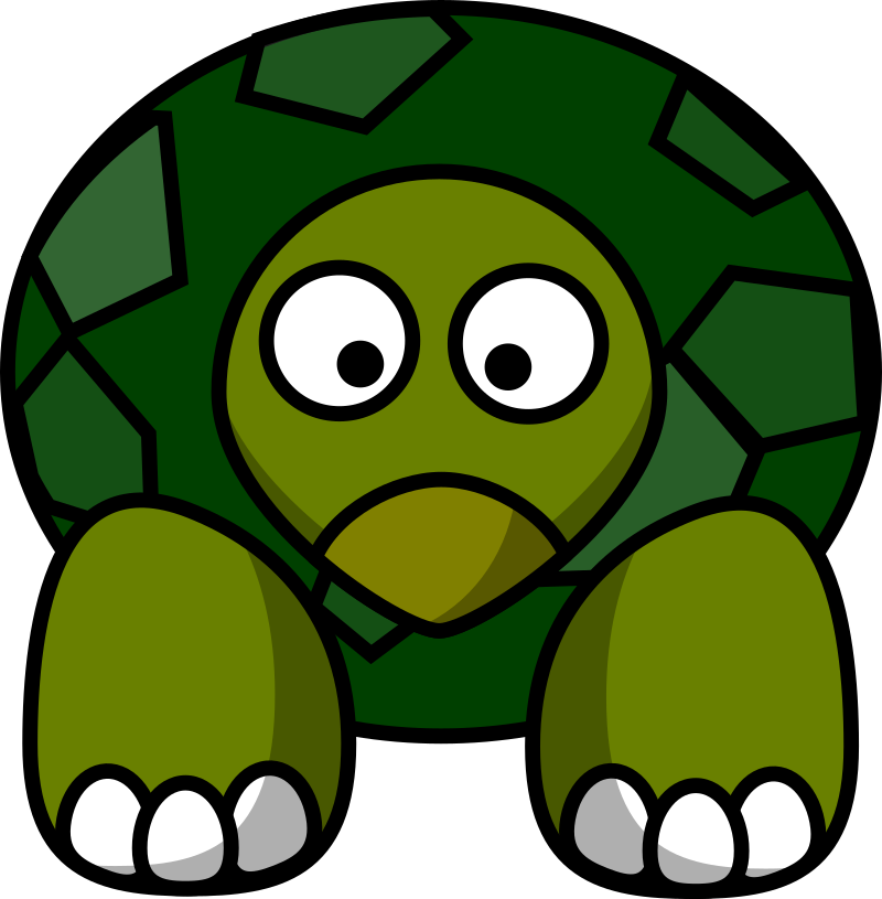 Tortoise