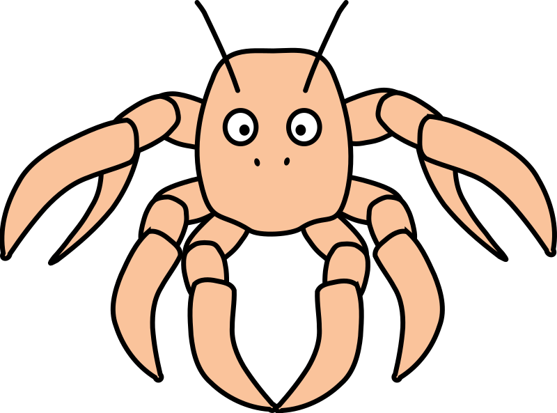 Spider Crab