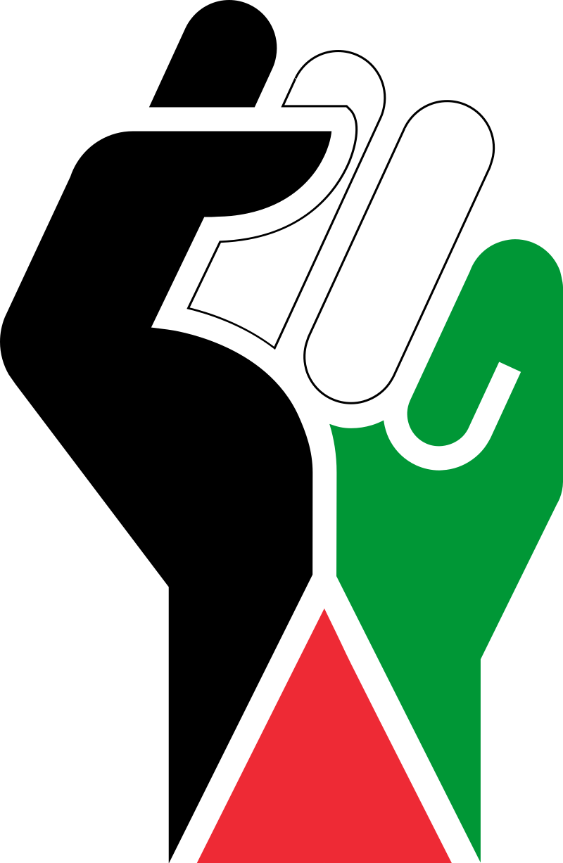 Free Palestine protest fist in flag colors