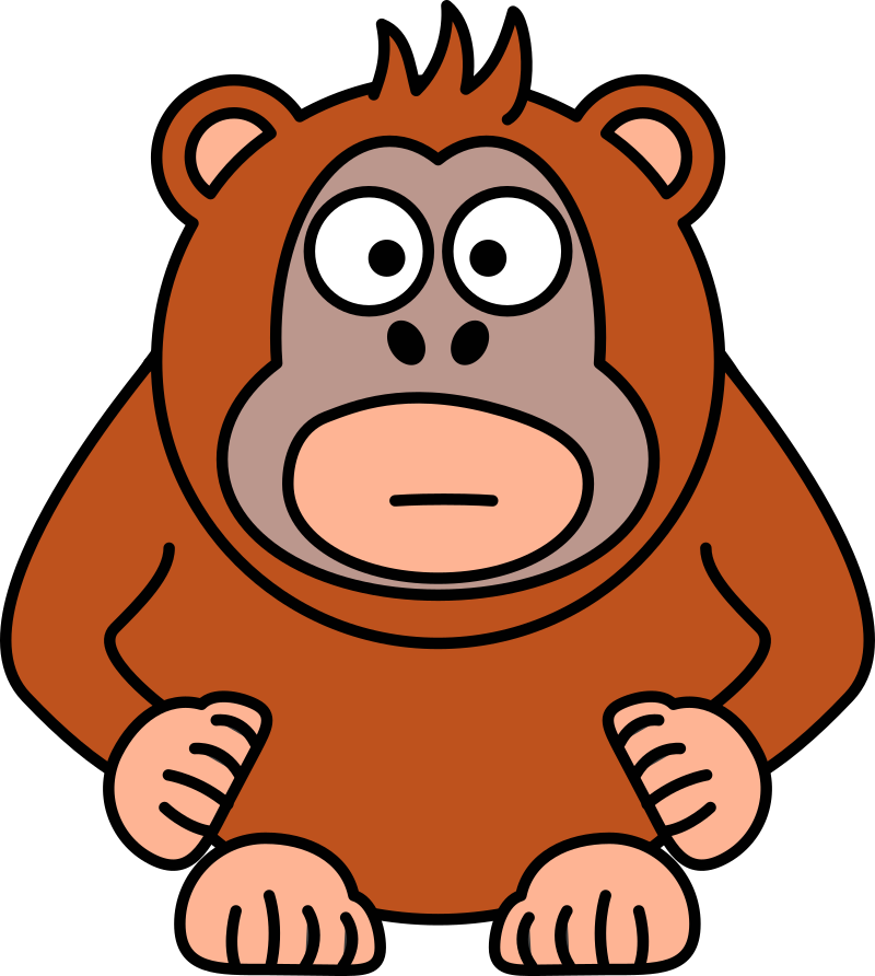 Orangutan