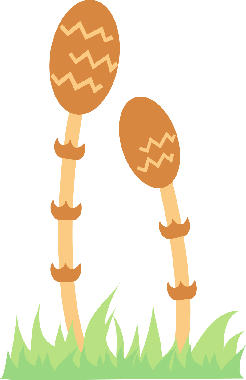 Cartoon Field Horsetail