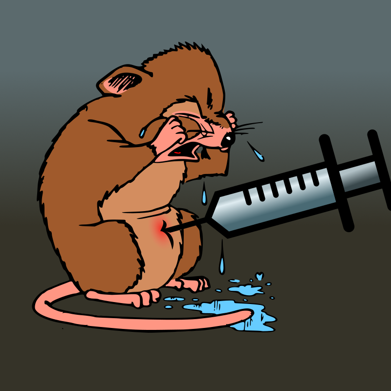 Mouse getting an injection
