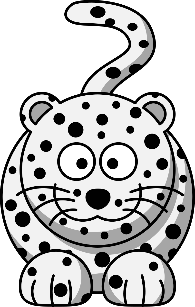 Snow Leopard