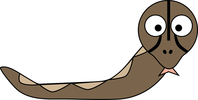 Boa