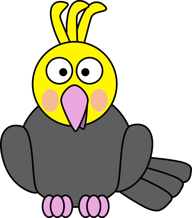 Cockatiel