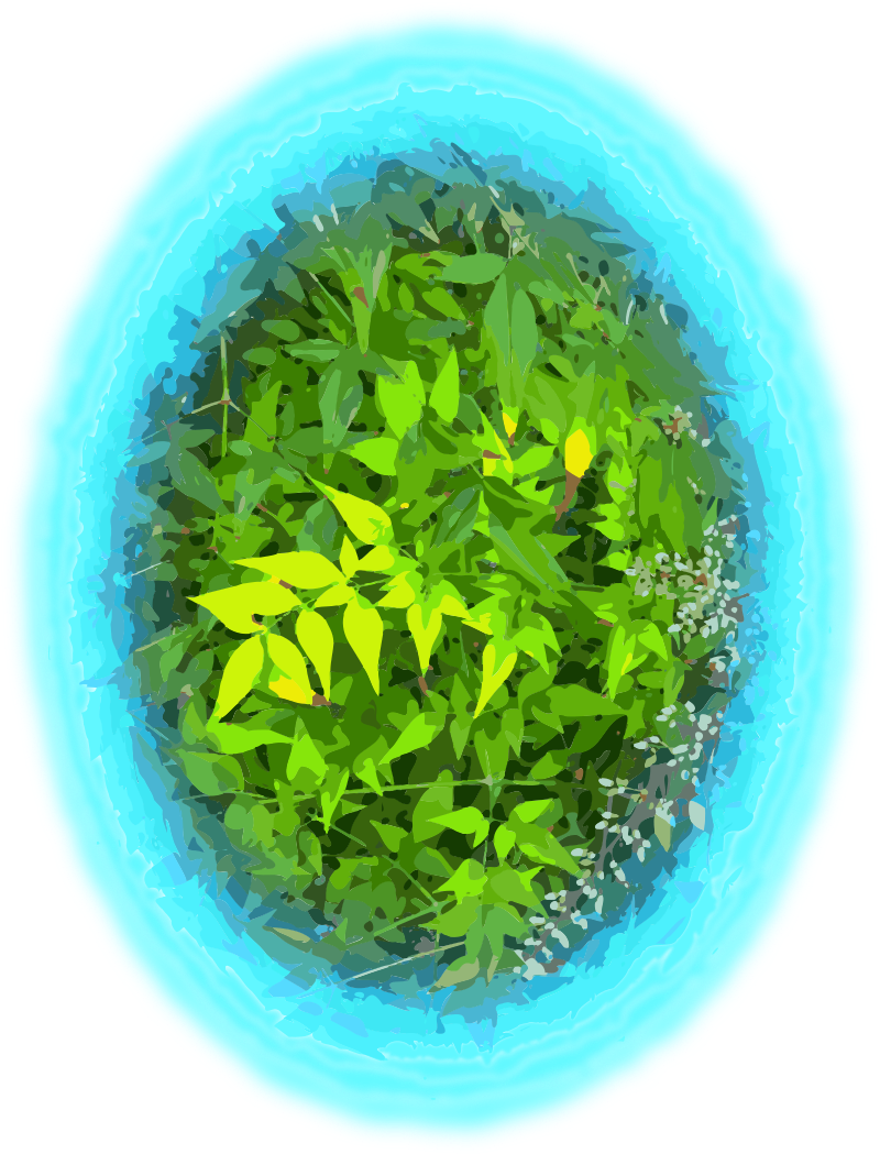 Green Ball of Leaves
