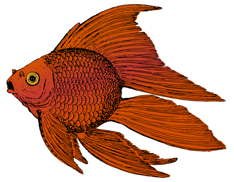 Goldfish