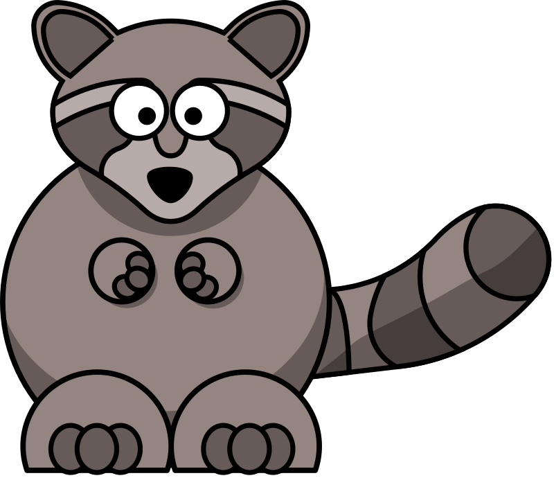 Raccoon
