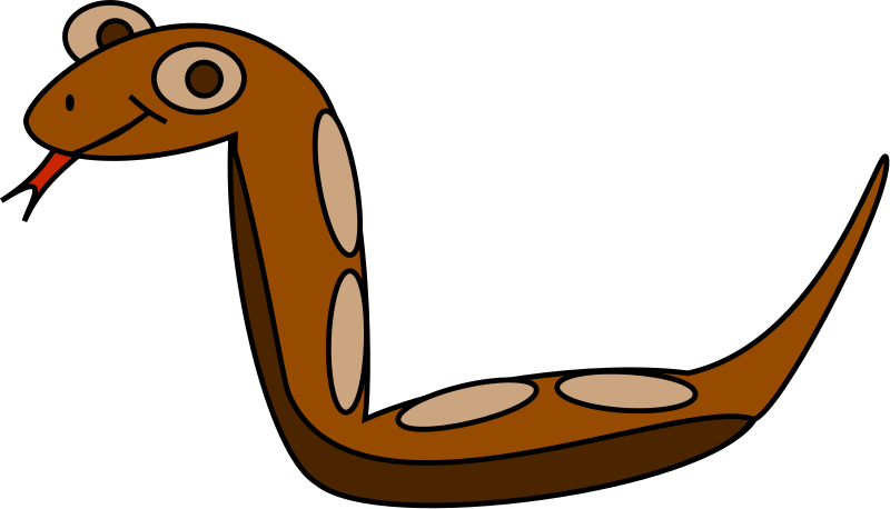 Boa Constrictor