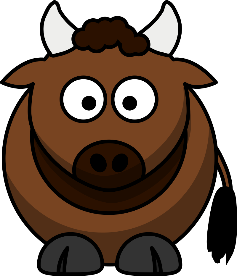 Bison