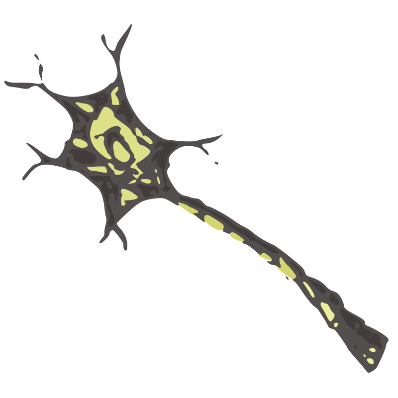 Neuron