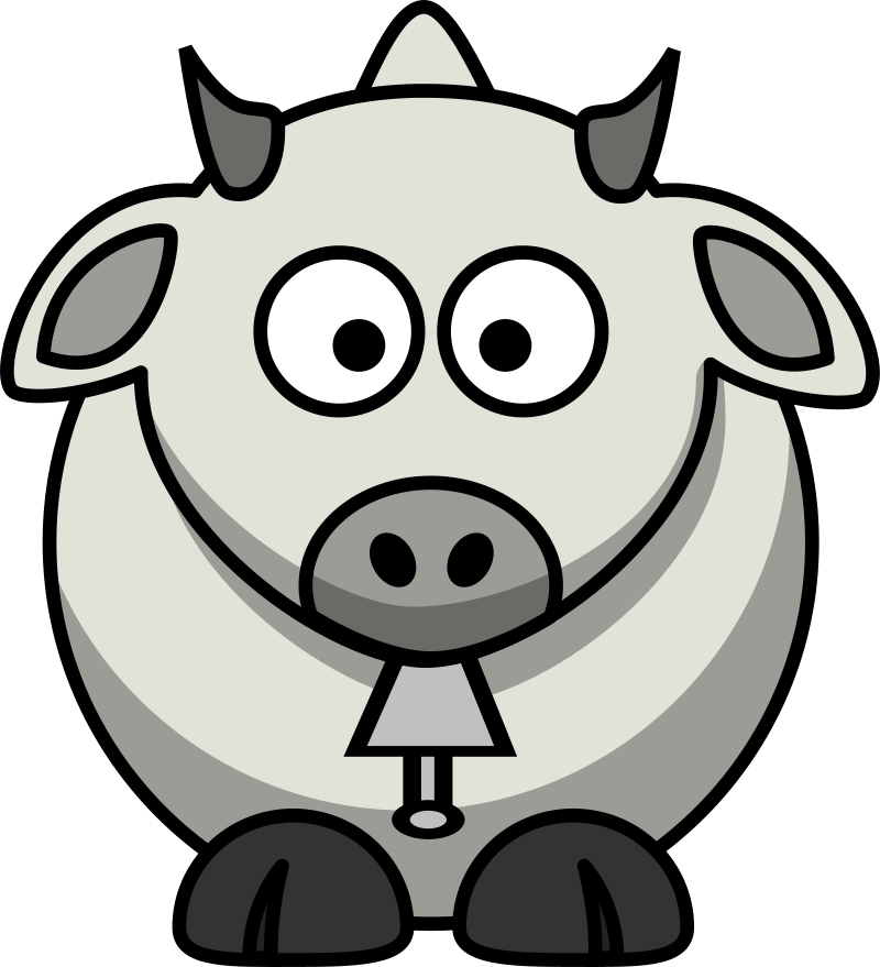 Zebu