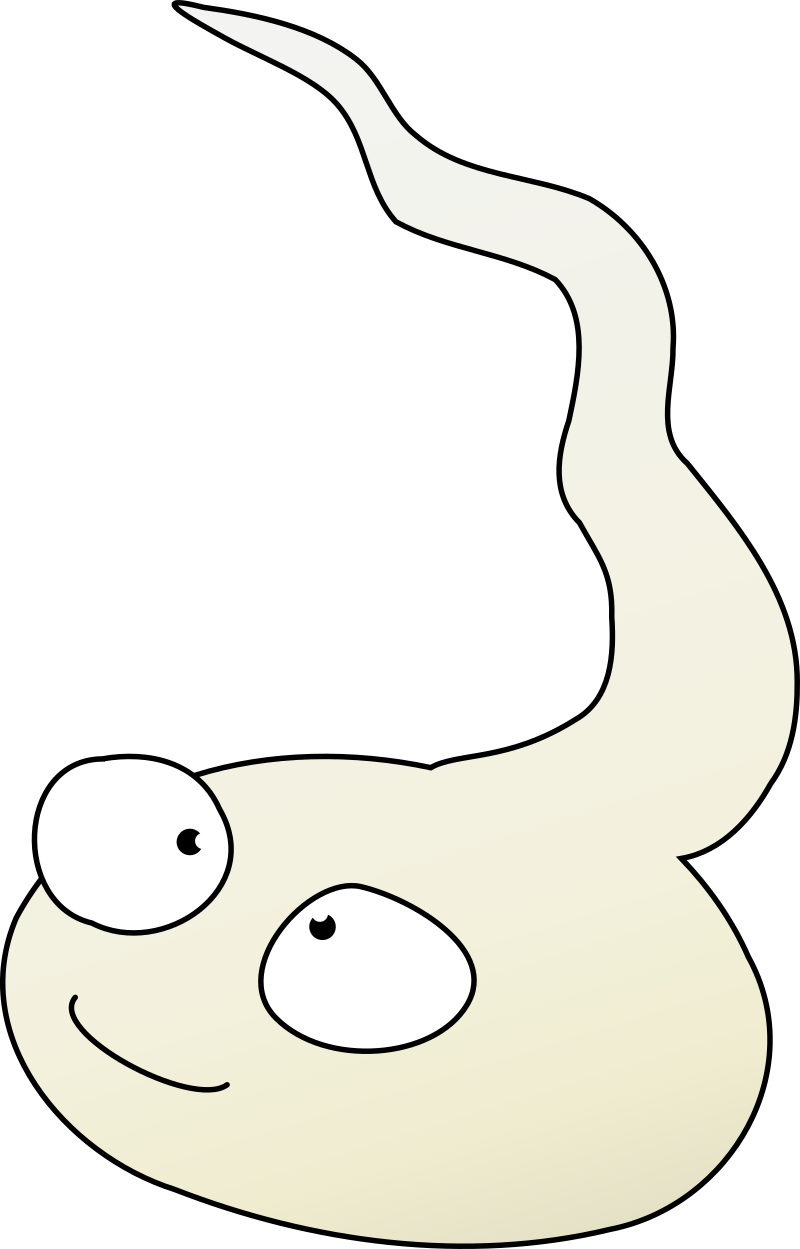 Cartoon Sperm 3