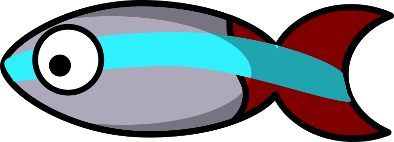 Neon tetra