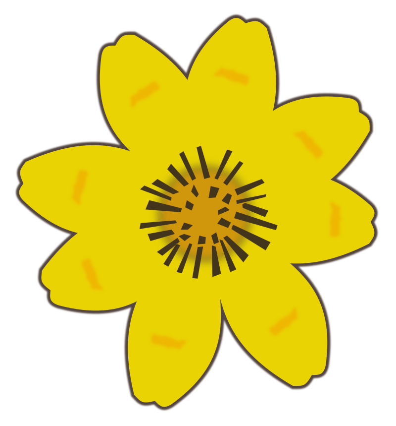 Adey Abeba Flower
