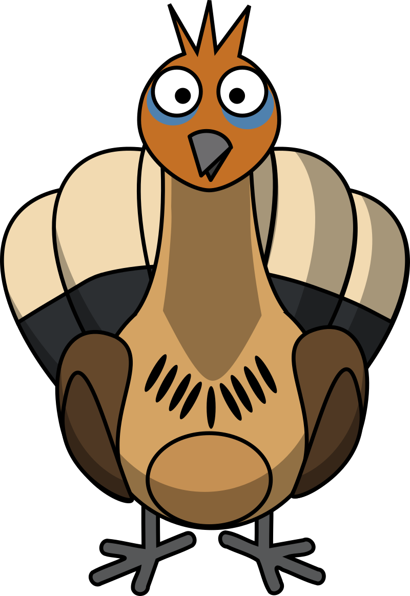Hoatzin
