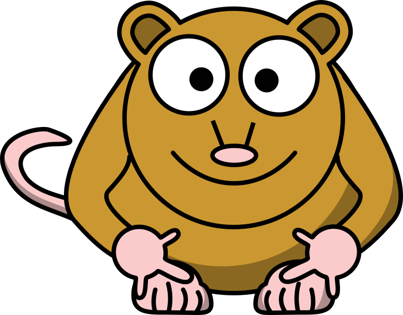 Tarsier