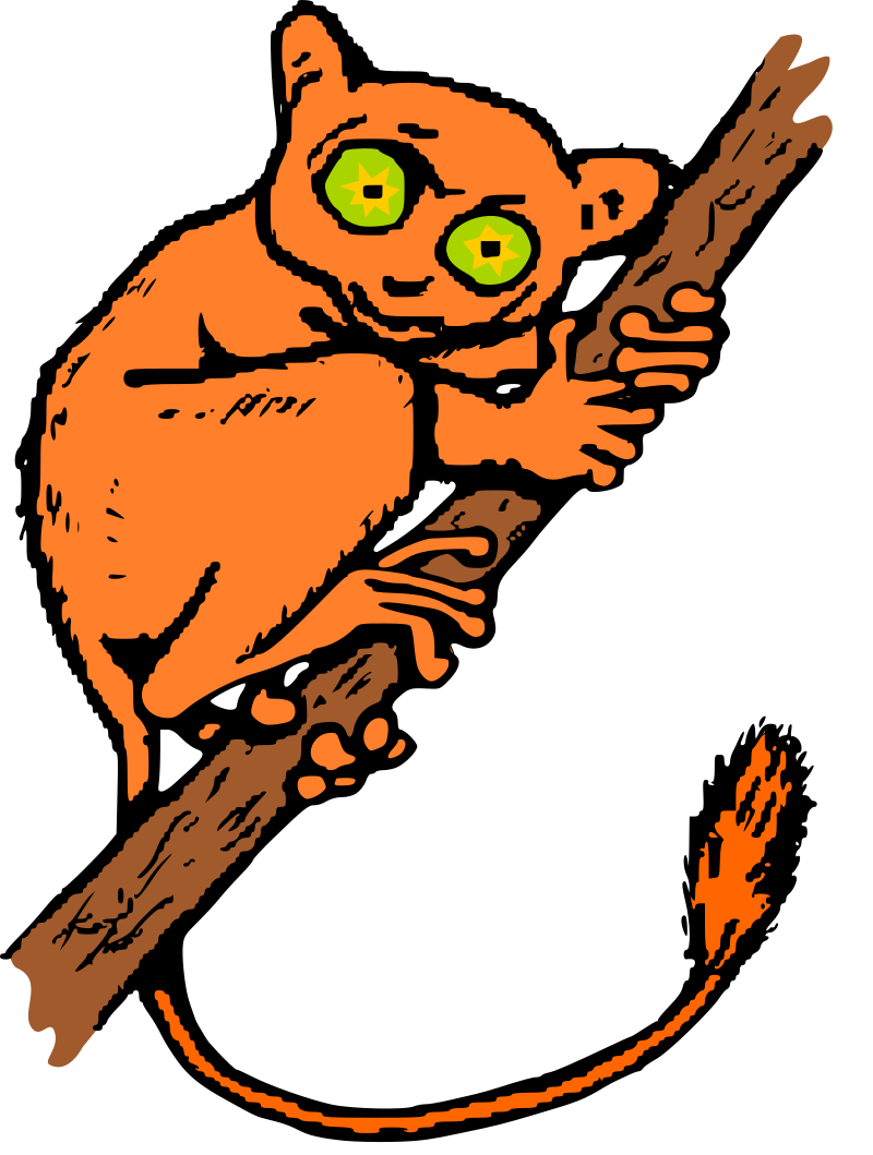 Tarsier