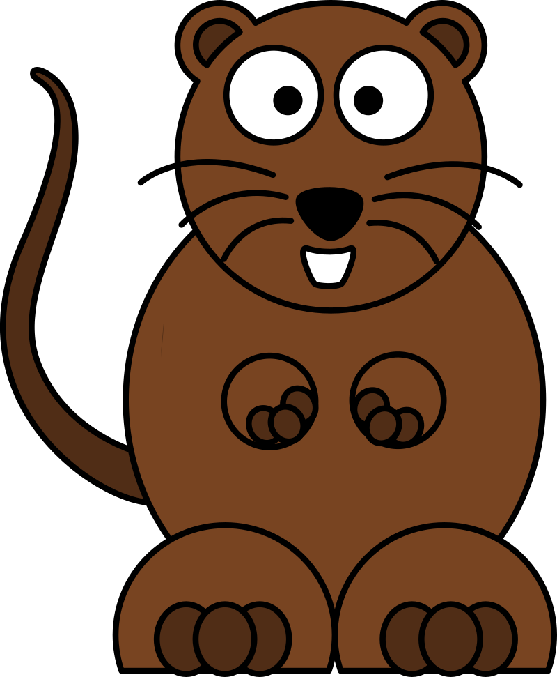 Invasive Rodent