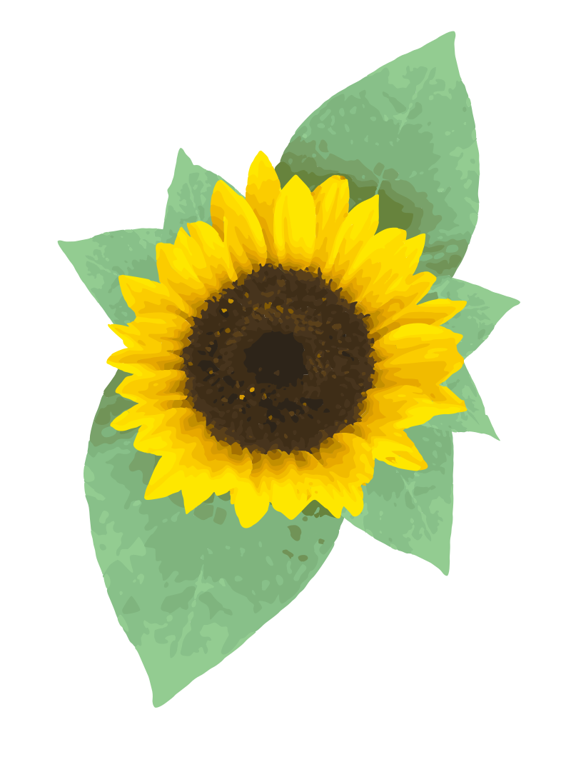Leafy Sunflower