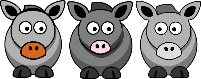 The 3 Donkeys in one…