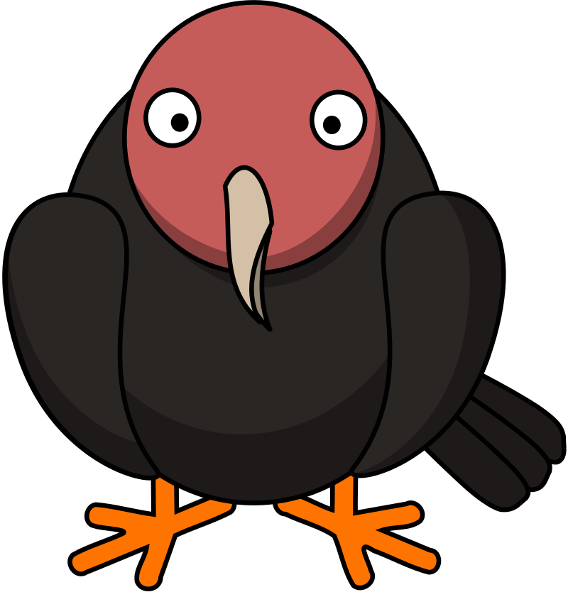 Turkey Vulture