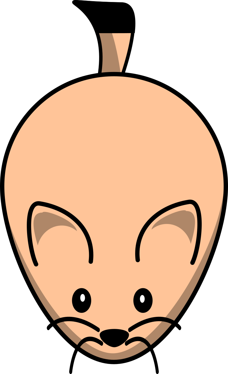 Prairie Dog