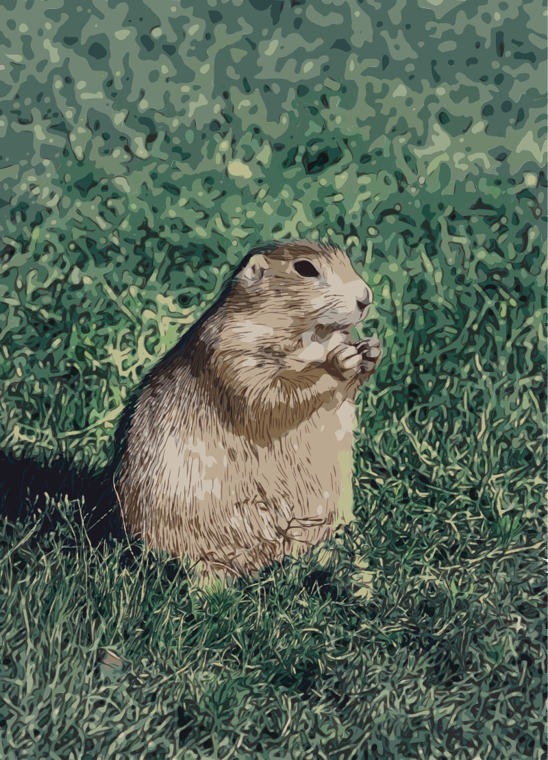 Prairie Dog