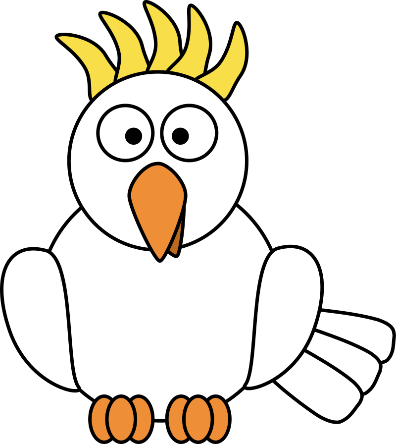 Cockatoo